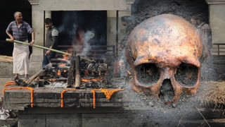 ఏం తమ్ముళ్లూ.. ఎలా ఉన్నారు ?? చంద్రబాబు పేరుతో ఫేక్ వీడియో కాల్