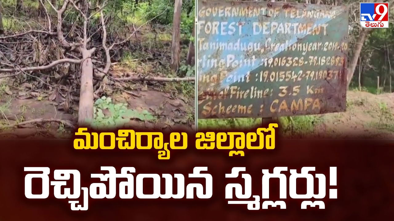 మంచిర్యాల జిల్లాలో రెచ్చిపోయిన స్మగ్లర్లు మంచిర్యాల జిల్లాలో రెచ్చిపోయిన స్మగ్లర్లు