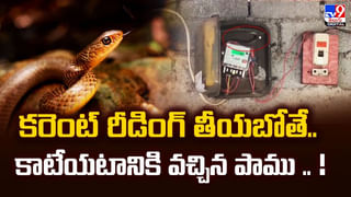 Watch: ఒంటెను ఎడారి ఓడ కాదు.. బుల్లెట్‌ అని బ్రో..!  ఈ వీడియో చూస్తే ఔరా అనాల్సిందే..