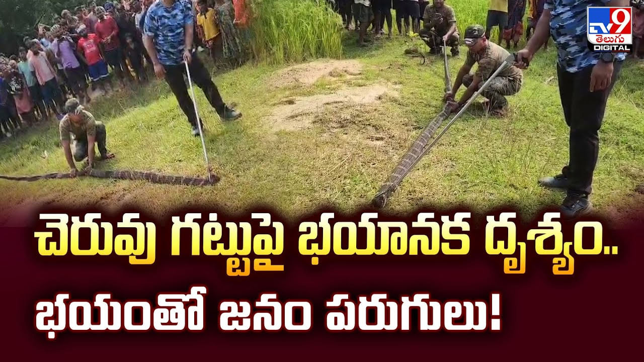 చెరువు గట్టుపై భయానక దృశ్యం.. భయంతో జనం పరుగులు