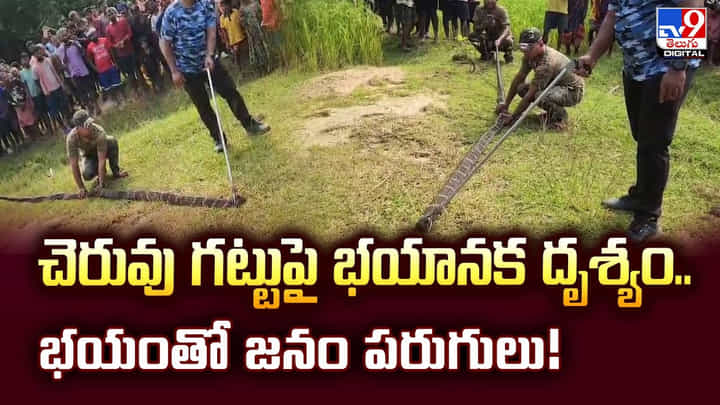 చెరువు గట్టుపై భయానక దృశ్యం.. భయంతో జనం పరుగులు చెరువు గట్టుపై భయానక దృశ్యం.. భయంతో జనం పరుగులు