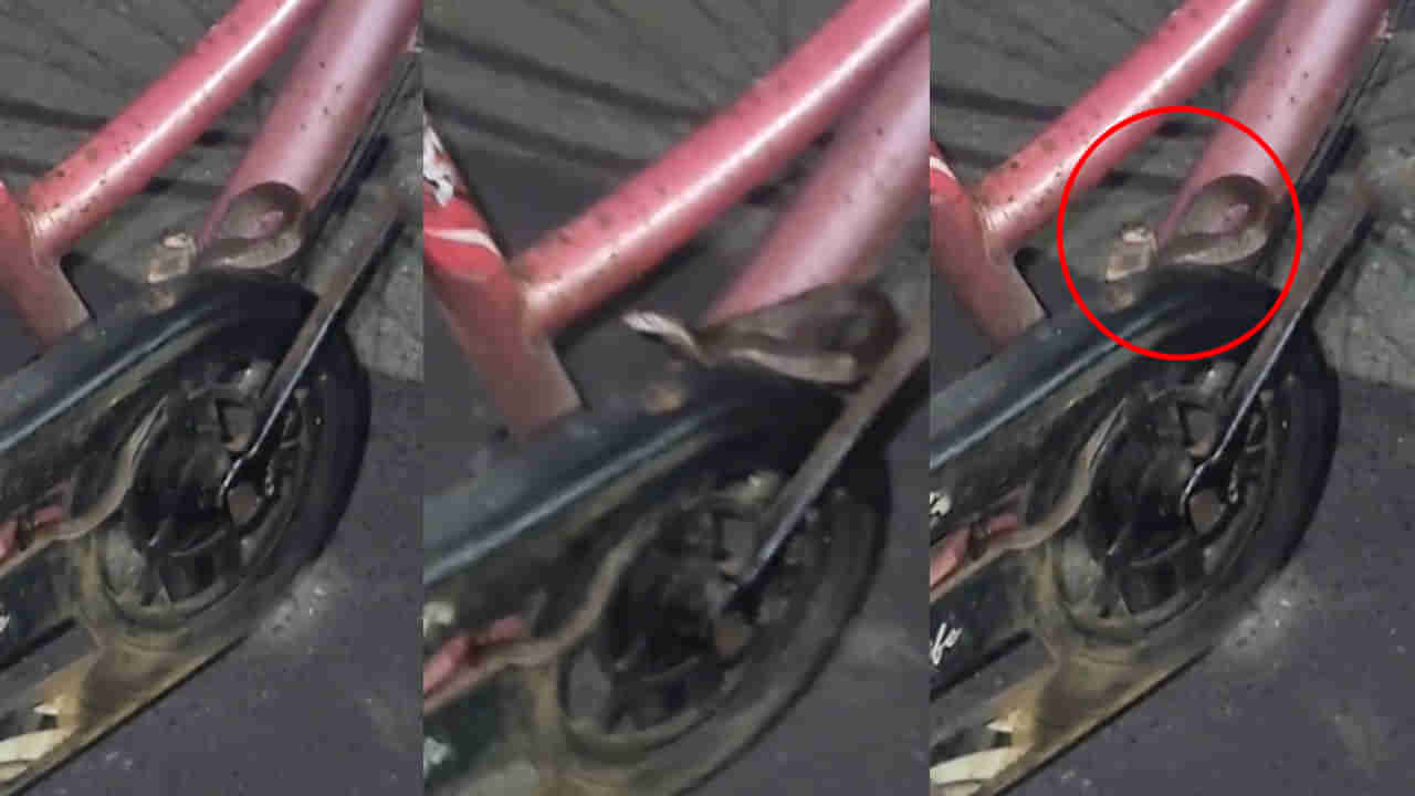 Viral Video: పార్క్ చేసిన సైకిల్ను పట్టుకున్న మహిళ.. వెంటనే సర్రుమని...