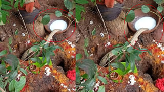 Cyclone: సైక్లోన్ ఎఫెక్ట్‌.. ఆ జిల్లాల్లో రెండ్రోజుల పాటు స్కూల్స్‌, కాలేజీలకు సెలవులు!