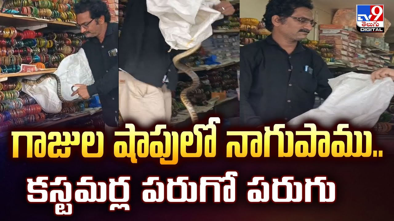 గాజుల షాపులో నాగుపాము.. కస్టమర్ల పరుగో పరుగు గాజుల షాపులో నాగుపాము.. కస్టమర్ల పరుగో పరుగు