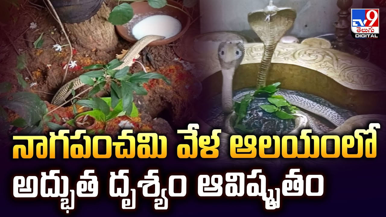 నాగపంచమి వేళ ఆలయంలో అద్భుత దృశ్యం ఆవిష్కృతం