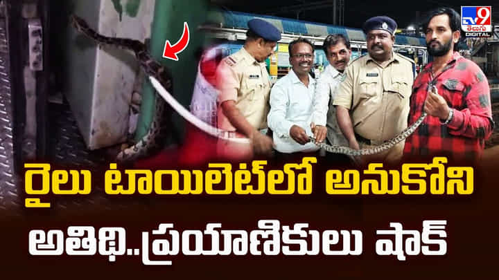 రైలు టాయిలెట్లో అనుకోని అతిథి.. ప్రయాణికులు షాక్ రైలు టాయిలెట్లో అనుకోని అతిథి.. ప్రయాణికులు షాక్