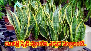 కుబేరుడి చల్లని చూపు.. వీరు ఖాళీగా కూర్చొన్నా కోటీశ్వరులే!