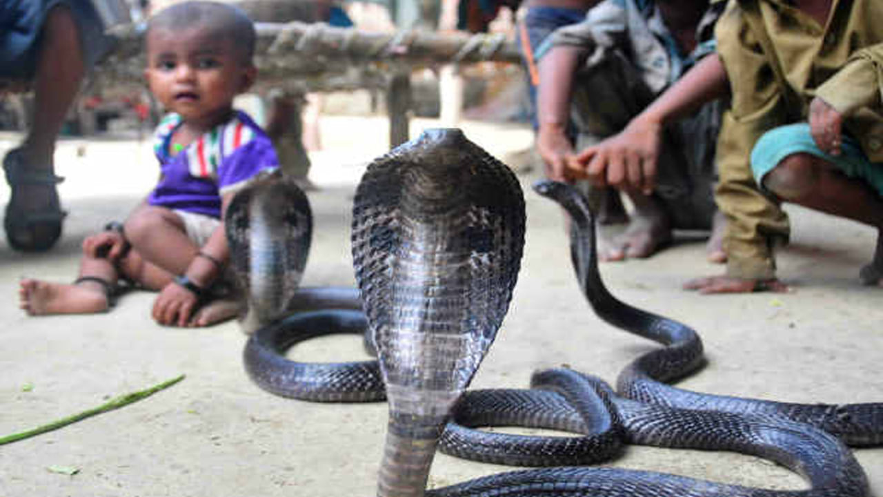 Snake Village
