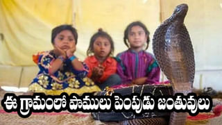 Viral Video: గాలిలో వేలాడుతూ ఓ జంట ప్రీ వెడ్డింగ్ షూట్.. పెళ్ళికి ముందే రిస్క్ అంత అవసరమా అంటూ నెటిజన్లు కామెంట్స్
