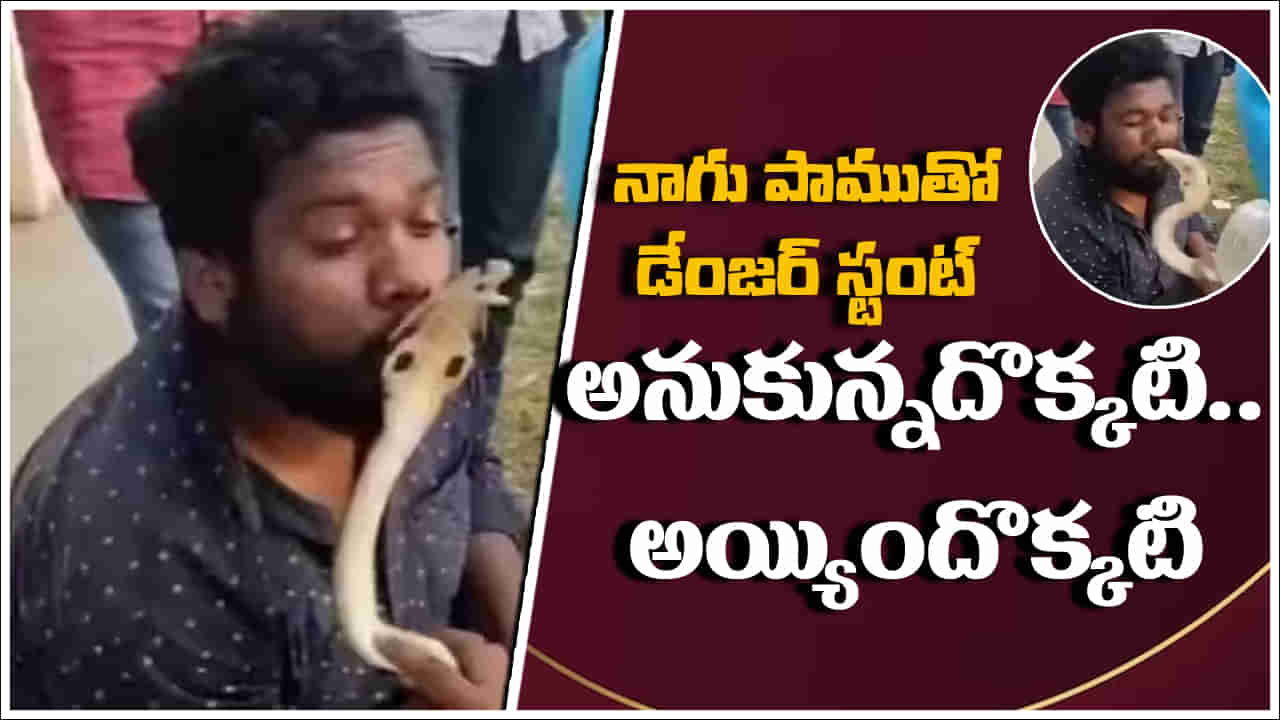 Viral Video: నాగుపామును ముద్దు పెట్టుకోవాలనుకున్నాడు.. కట్ చేస్తే.. గురుడికి సీన్ సితారయ్యింది