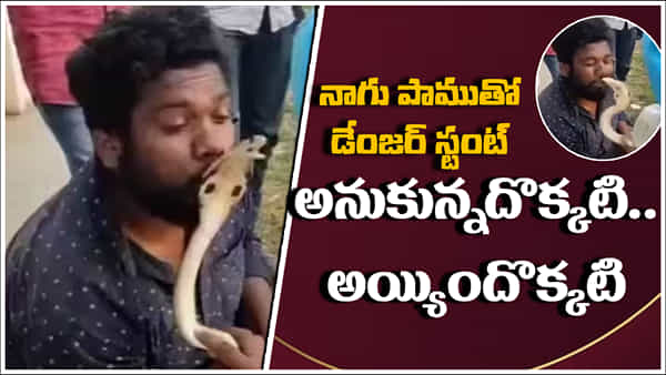Viral Video: నాగుపామును ముద్దు పెట్టుకోవాలనుకున్నాడు.. కట్ చేస్తే.. గురుడికి సీన్ సితారయ్యింది