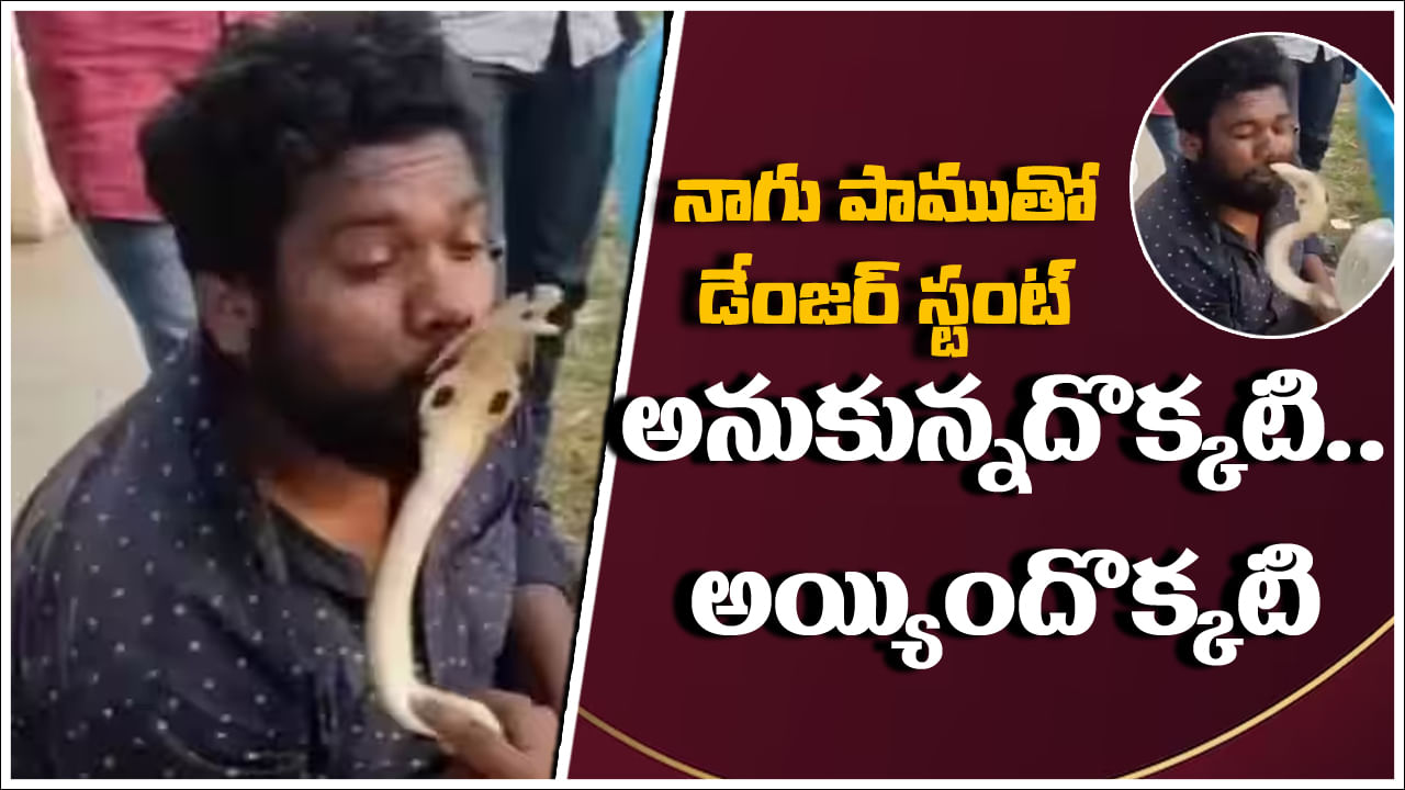 Viral Video: నాగుపామును ముద్దు పెట్టుకోవాలనుకున్నాడు.. కట్ చేస్తే.. గురుడికి సీన్ సితారయ్యింది