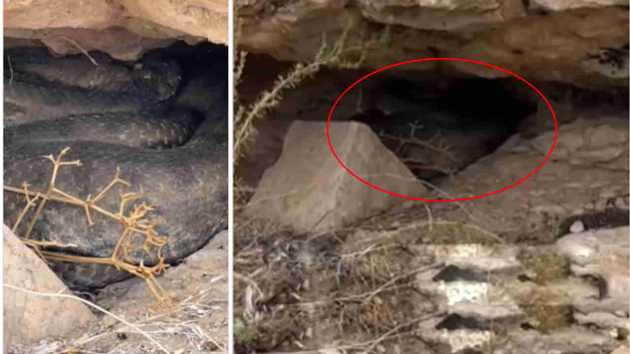 Viral Video: కొండ కింద నల్లటి ఆకారం.. కెమెరాకు పని చెప్పి జూమ్ చేయగా దిమ్మతిరిగింది