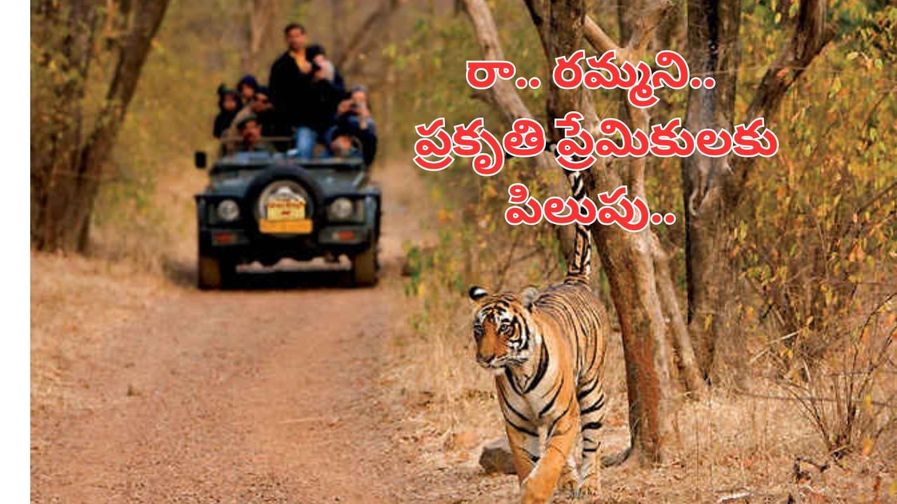 రా.. రమ్మని.. ప్రకృతి ప్రేమికులు, సాహసవంతులు తప్పక చూడాల్సిన వన్యప్రాణుల అభయారణ్యాలు ఇవే!