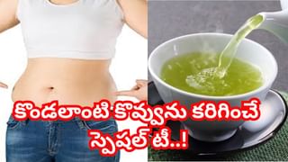 Chole Masala Recipe: అసలు సిసలైన ధాబా స్టైల్ చోలే మసాలా.. పర్ఫెక్ట్‌ రంగు రుచితో..