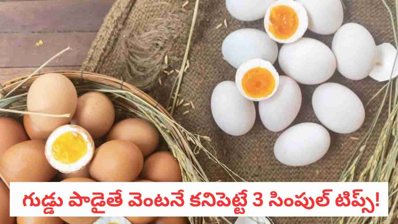 Egg Hacks:కోడి గుడ్డు ఈ రంగులో కనిపిస్తే డేంజర్! పాడైన వాటిని ఈజీగా గుర్తించండిలా..