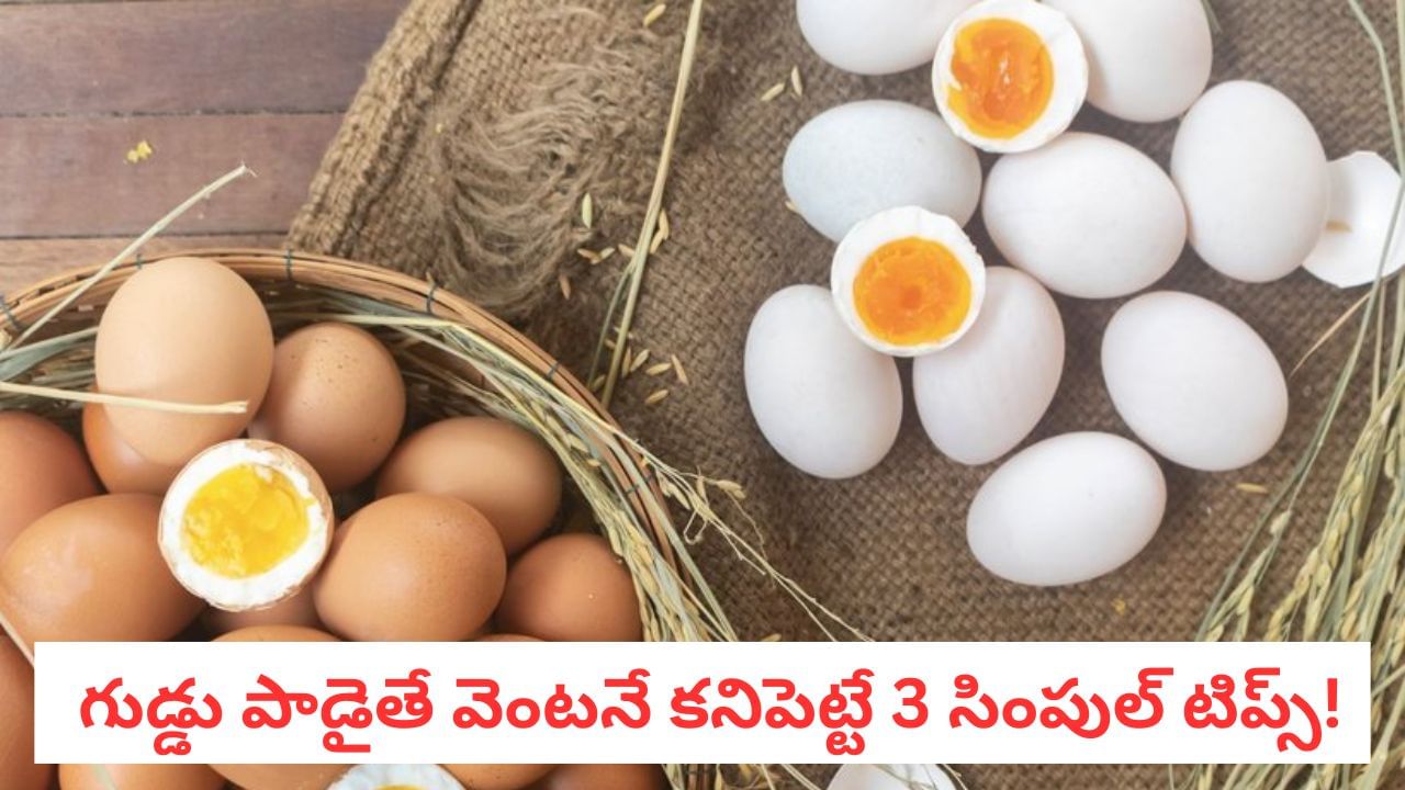 Egg Hacks:కోడి గుడ్డు ఈ రంగులో కనిపిస్తే డేంజర్! పాడైన వాటిని ఈజీగా గుర్తించండిలా..