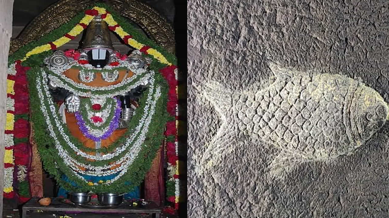 భారత దేశం ఆధ్యాత్మికకు నెలవు. మన దేశంలో అత్యంత ప్రాచీన పురాతన ఆలయాలు ఎన్నో ఉన్నాయి. అంతేకాదు మన దేశ ప్రాచీన సంస్కృతిని తెలియజేసే కట్టడాలు, చారిత్రాత్మక కట్టడాలు, పుణ్యక్షేత్రాలు, వాస్తు కళా సంపద, ప్రకృతి అందాలకు నెలవు. అలాంటి అందమైన పురాతన ఆలయాల్లో ఒకటి ఆంధ్రప్రదేశ్ కడప జిల్లాలోని నందలూరులో వెలసిన శ్రీ సౌమ్యనాథస్వామి ఆలయం. ఈ ఆలయానికి సంబంధించి అనేక నమ్మకాలు విశ్వాసాలు ఉన్నాయి. అందులో ఒకటి పోతులూరి వీరబ్రహ్మేంద్రస్వామి ఈ ఆలయం గోడపై ఉన్న ఒక చేపకు జీవం వచ్చిన రోజు కలియుగాంతం అవుతుందట.