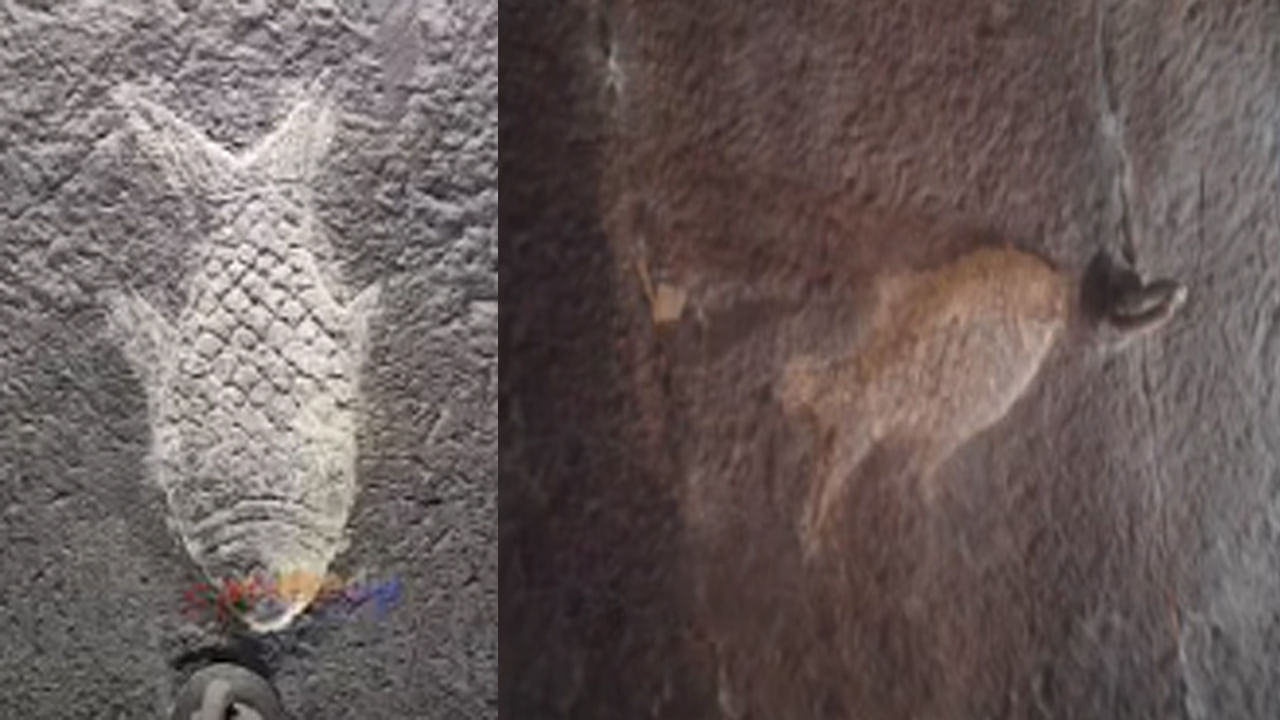 ఆలయంలోని అంతర్భాగంపై ఒక గోడపై చేప ఆకారంలో ఒక శిల్పం ఉంటుంది. స్థానిక పండితులు ఈ చేప గురించి.. ఆలయం గురించి చెబుతూ.. భవిష్యత్ లో భారీ వరదలు వస్తాయని.. అప్పుడు వరద నీరు ఈ ఆలయంలోకి చేరుకుంటుందని చెప్పారు. ఆ వరద నీరు ఈ చేపని తాకిన వెంటనే ఈ చేపకు ప్రాణం వస్తుందని... అప్పుడు నీటిలో ఈదుతుందని అప్పుడు కలియుగాంతం అవుతుందని పురాణాలు చెబుతున్నాయని చెప్పారు.( ఈ వార్తలలో ఇవ్వబడిన సమాచారం మత విశ్వాసాలపై ఆధారపడి ఉంది. పాఠకుల ఆసక్తి మేరకు.. పలువురు పండితుల సూచనలు, వారి తెలిపిన అంశాల ఆధారంగాఅందించినవి మాత్రమే.. వీటిలో ఎలాంటి శాస్త్రీయ ఆధారాలు లేవని పాఠకులు గమనించాలి. టీవీ9 తెలుగు దీనిని ధృవీకరించలేదు) 
