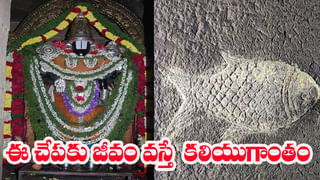 Watch Video: ప్రాణం మీదకు తెచ్చిన రీల్స్‌ పిచ్చి.. జలపాతంలో దూకి యువకుడి గల్లంతు! వీడియో వైరల్