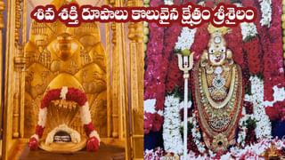 Andhra News: పెళ్లైన 5 నెలలకే వివాహిత ఆత్మహత్య.. కన్నీళ్లు పెట్టిస్తున్న సూసైడ్‌ నోట్‌.. కారణం తెలిస్తే..