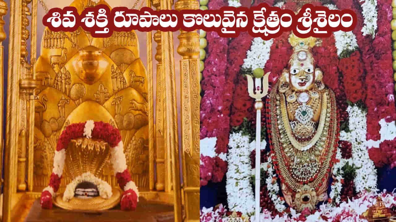 Srisailam: ఈ క్షేత్రం మోక్షానికి ద్వారం.. దక్షిణ కైలాసం.. ఒకే చోట శివ శక్తి రూపాల దర్శనం