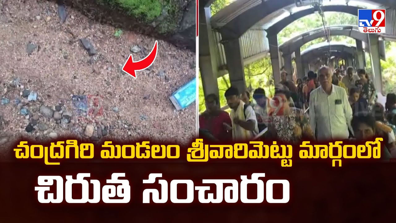 చంద్రగిరి మండలం శ్రీవారిమెట్టు మార్గంలో చిరుత సంచారం