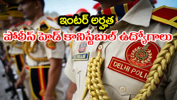 Head Constable Jobs 2025: ఇంటర్ అర్హతతో పోలీస్ హెడ్ కానిస్టేబుల్ ఉద్యోగాలు.. ఆన్లైన్ దరఖాస్తుల లింక్ ఇదే