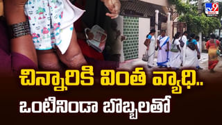 కరెంట్‌ రీడింగ్‌ తీయబోతే.. కాటేయటానికి వచ్చిన పాము తర్వాత వీడియో