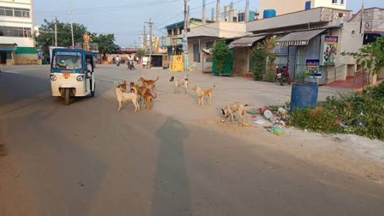 Andhra Pradesh: విజయవాడలోని ఈ ప్రాంతంలో భయం..భయం.. ఎందుకో తెలిస్తే అవాక్కే..