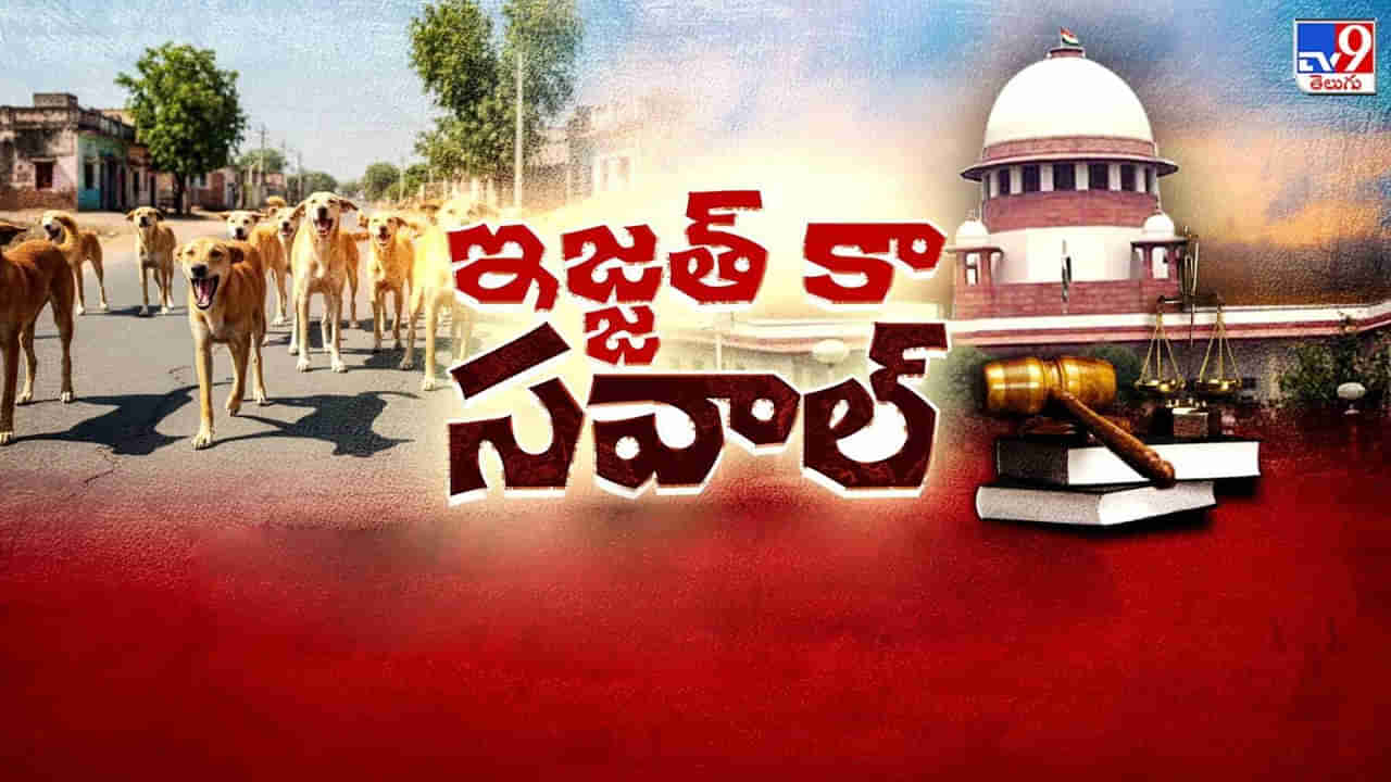 కుక్కచావులు.. ఆపేదెలా?.. సుప్రీం ఆదేశించినా.. రాష్ట్రాలు పట్టించుకోనంత నిర్లక్ష్యమేంటి?