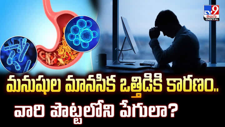 మనుషుల మానసిక ఒత్తిడికి కారణం.. వారి పొట్టలోని పేగులా ?? మనుషుల మానసిక ఒత్తిడికి కారణం.. వారి పొట్టలోని పేగులా ??