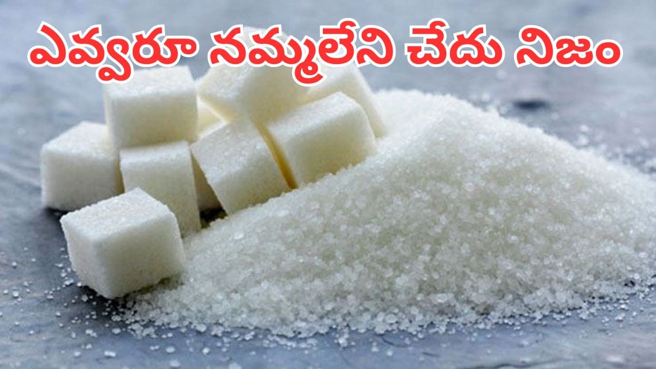 చక్కెర ఎక్కువగా తింటున్నారా.. ఆ డేంజర్ వ్యాధి బారిన పడటం ఖాయం.. నమ్మలేని చేదు నిజం ఇదిగో..