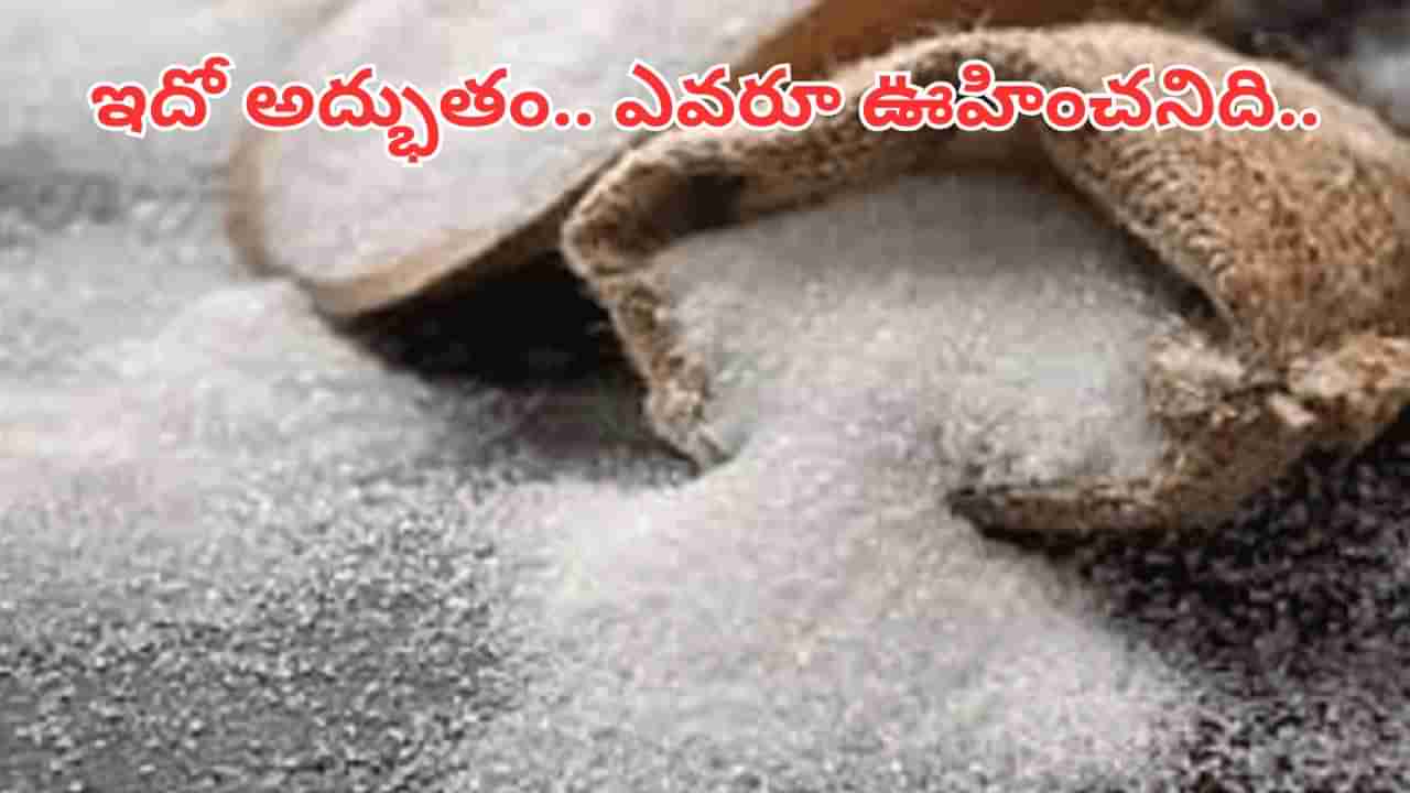 Sugar: భయ్యా.. 15 రోజులు చక్కెర తీసుకోవడం ఆపండి.. లోపలంతా క్లీన్.. బయటంతా షైన్