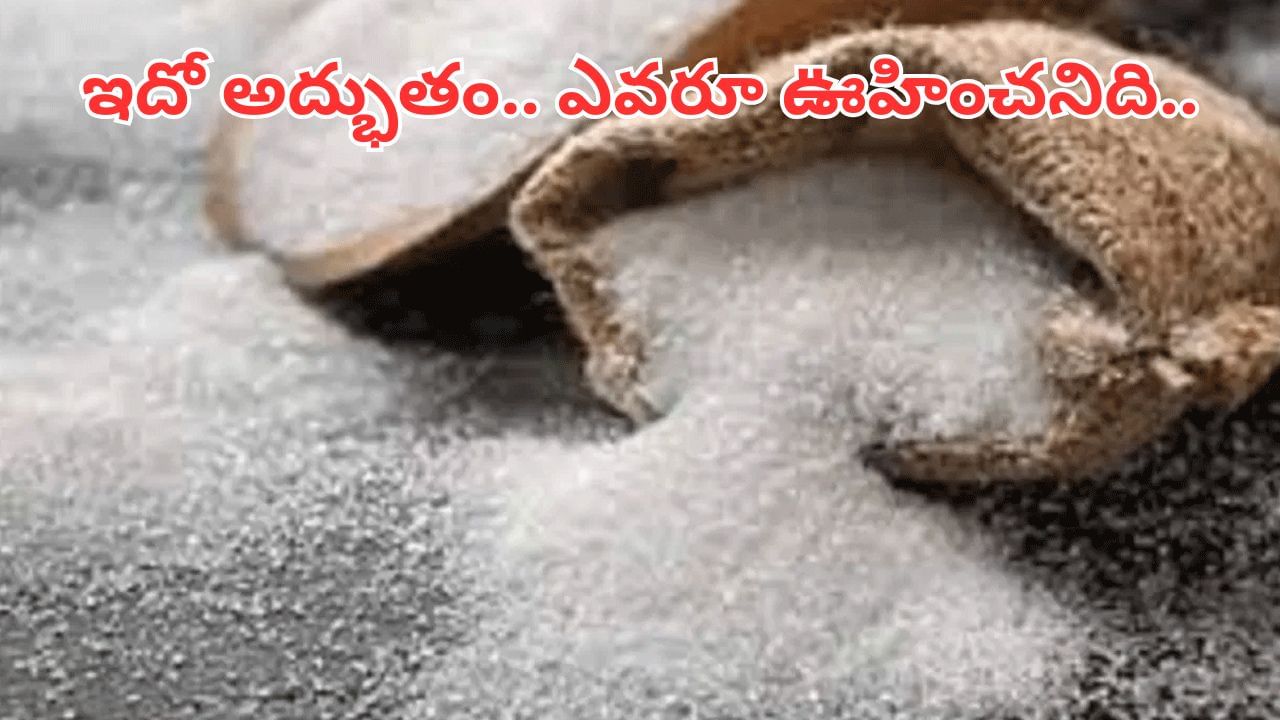 Sugar: భయ్యా.. 15 రోజులు చక్కెర తీసుకోవడం ఆపండి.. లోపలంతా క్లీన్.. బయటంతా షైన్