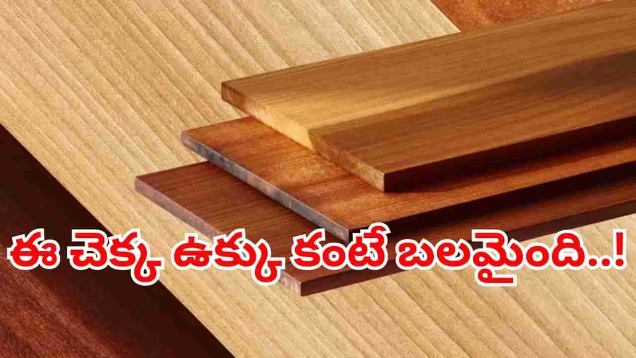 ఇంటి నిర్మాణానికి సూపర్వుడ్.. ఈ చెక్క ఉక్కు కంటే బలమైంది.. పాడయ్యే ప్రసక్తే లేదు..!