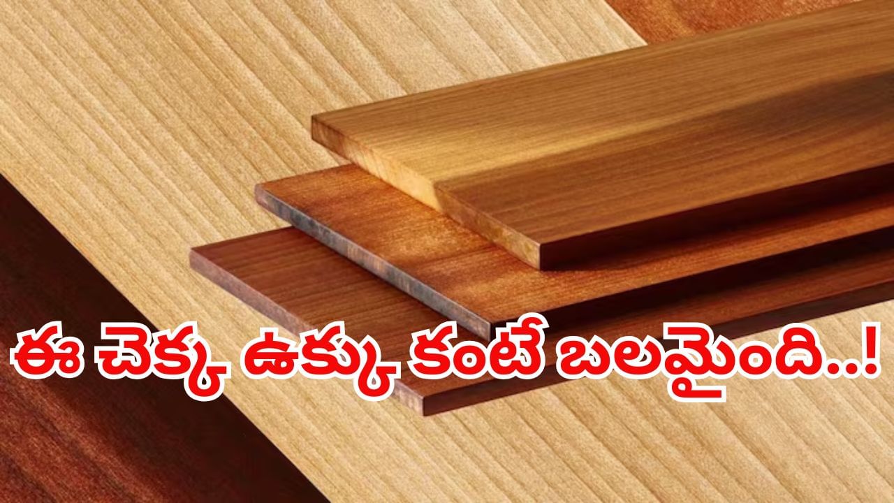 ఇంటి నిర్మాణానికి సూపర్వుడ్.. ఈ చెక్క ఉక్కు కంటే బలమైంది.. పాడయ్యే ప్రసక్తే లేదు..!