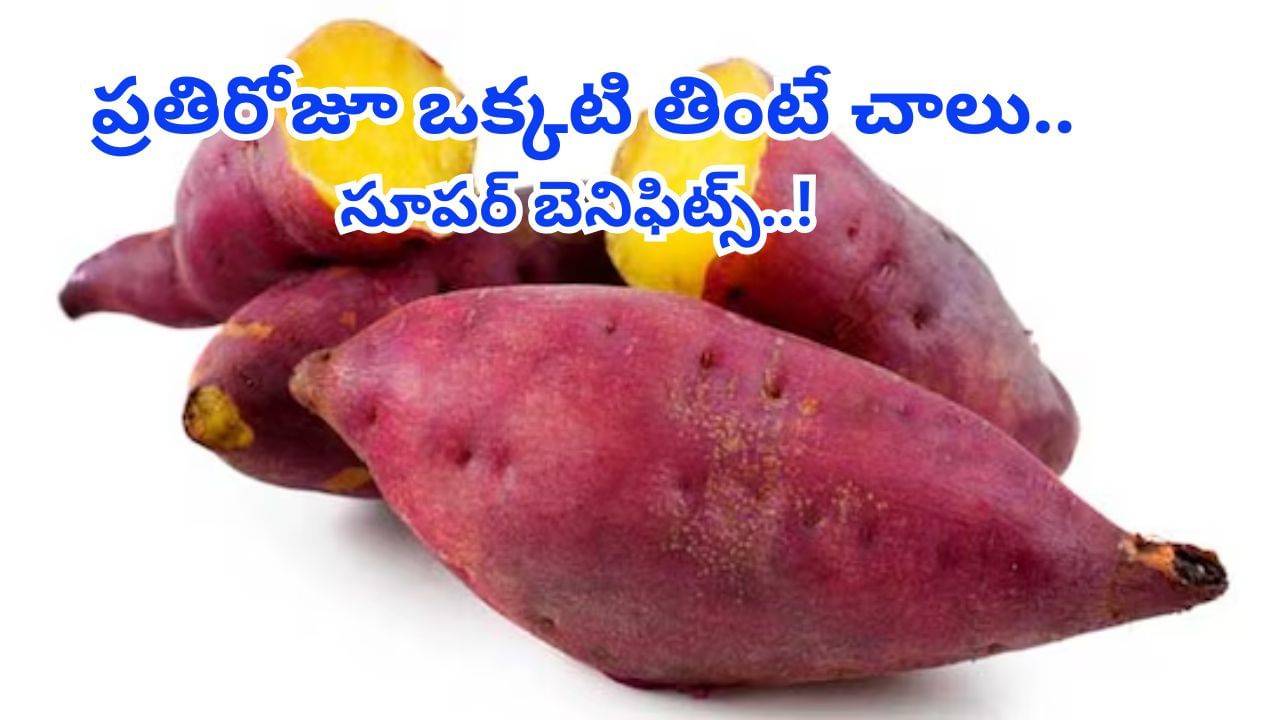 Sweet Potato: చిలగడదుంపల సీజన్ వచ్చేసింది.. కనిపించిన వెంటనే తెచ్చుకు తినేయండి..!