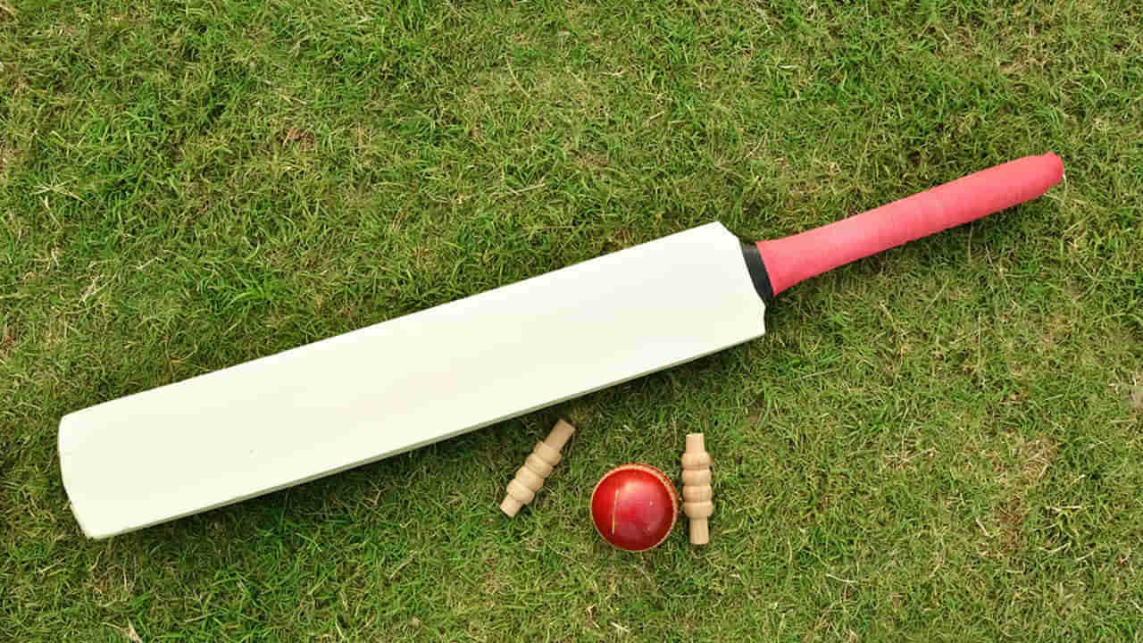 T20 Cricket: టీ20 క్రికెట్‌లో మోస్ట్ డేంజరస్ బ్యాటర్లు.. 30 బంతుల్లోపే సెంచరీలు.. లిస్ట్‌లో ఇద్దరు మనోళ్లు