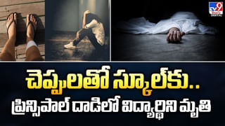 పంట రక్షణకు.. పగటి వేషం నిజమైన ఎలుగుబంటి అనుకొని