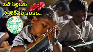 Head Constable Jobs 2025: ఇంటర్‌ అర్హతతో పోలీస్ హెడ్‌ కానిస్టేబుల్‌ ఉద్యోగాలు.. ఆన్‌లైన్‌ దరఖాస్తుల లింక్ ఇదే