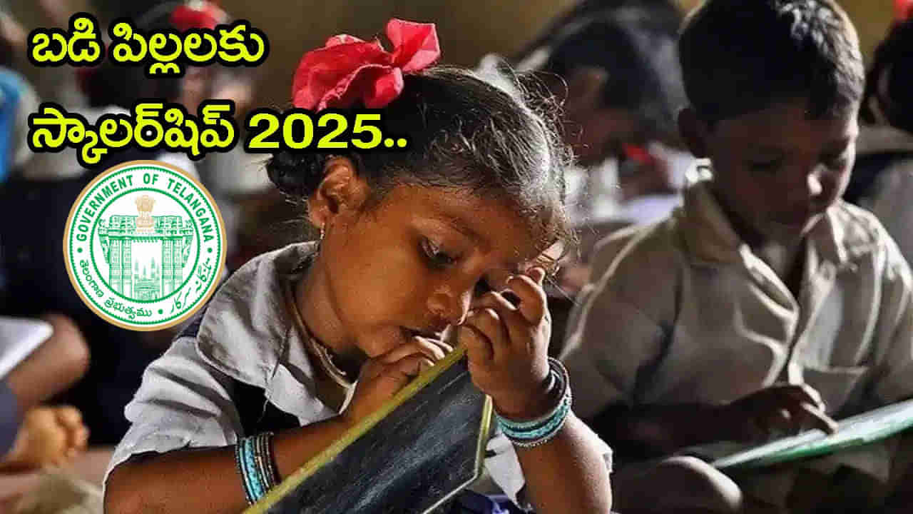 Telangana Govt Scholarship 2025: 8వ తరగతి విద్యార్ధులకు సర్కార్ స్కాలర్‌షిప్‌.. ఎంపికైతే ఏడాదికి రూ.12 వేలు! డైరెక్ట్ లింక్ ఇదే