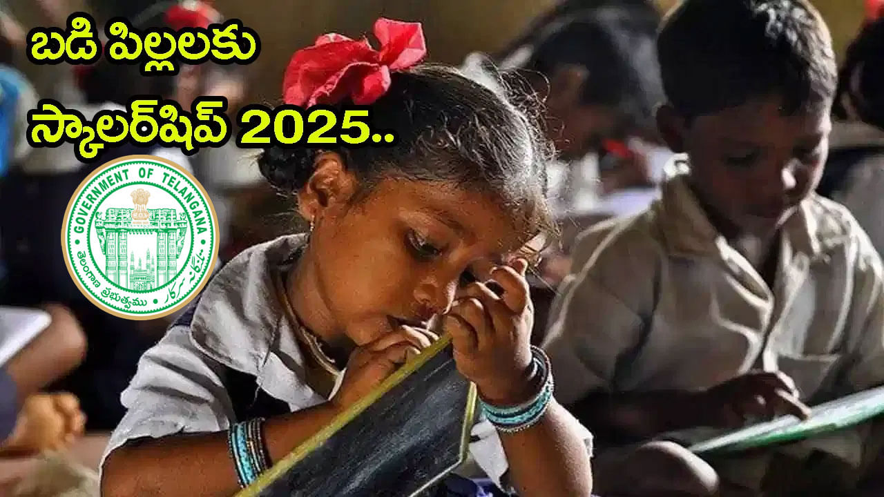 Telangana Govt Scholarship 2025: 8వ తరగతి విద్యార్ధులకు సర్కార్ స్కాలర్‌షిప్‌.. ఎంపికైతే ఏడాదికి రూ.12 వేలు! డైరెక్ట్ లింక్ ఇదే