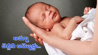 Telangana: నక్కతోక తొక్కిన రాజు యాదవ్.. ఏకంగా 12 మద్యం షాపులు దక్కాయ్..