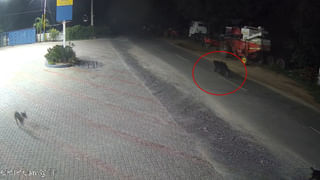 AP, Telangana: దేశంలోనే అత్యధిక అప్పులున్నది మన తెలుగు రాష్ట్రాలే..!