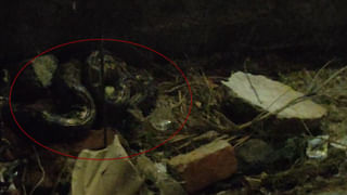 మైనర్ బాలికను రూమ్‌‌కు తీసుకెళ్లిన యువకుడు.. ఇంతలోనే అనుకోని ఘటన!