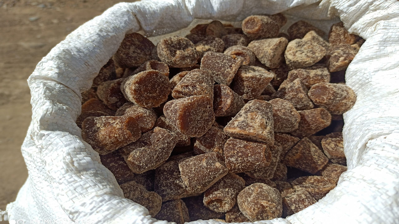 నెలసరి, అధిక బరువు సమస్యలకు తాటిబెల్లం చెక్‌ పెడుతుందని నిపుణులు చెబుతున్నారు. మైగ్రేన్‌తో ఇబ్బంది పడుతున్నవారు నోట్లో చెంచా బెల్లం పొడి వేసి చప్పరిస్తే ఉపశమనం కలుగుతుంది. వేసవి వేడి నుంచి శరీరాన్ని చల్లబరుస్తుంది. తాటి బెల్లంలో శక్తినిచ్చే పోషకాలు పుష్కలంగా ఉంటాయి. 