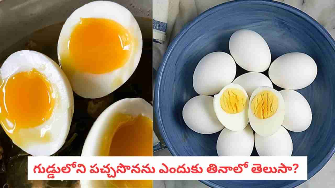 Egg Yolk: గుడ్డు తెల్లసొన మాత్రమే తింటున్నారా? ఎంత పెద్ద తప్పు చేస్తున్నారో..