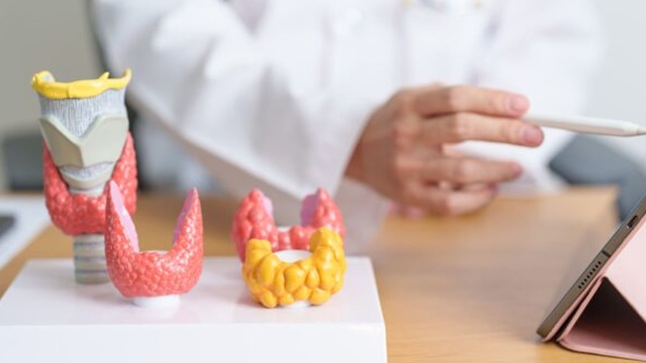 అంతే కాకుండా ట్యాబ్ లెట్స్ వేసుకునే క్రమంలో కూడా అనేక నియమాలు పాటించాలంట. ఈ ట్యాబ్ లేట్ వేసుకున్న అరగంట వరకు ఎలాంటి ఆహారపదార్థాలు తీసుకోకూడదంట. ముఖ్యంగా టీ, కాఫీలు తీసుకోకూడదని సూచిస్తున్నారు వైద్య నిపుణులు. ( నోట్ : పై సమాచారం ఇంటర్నె్ట్ ఆధారంగా, ఇవ్వడం జరిగినది, టీవీ9తెలుగు దీనిని ధృవీకరించలేదు)