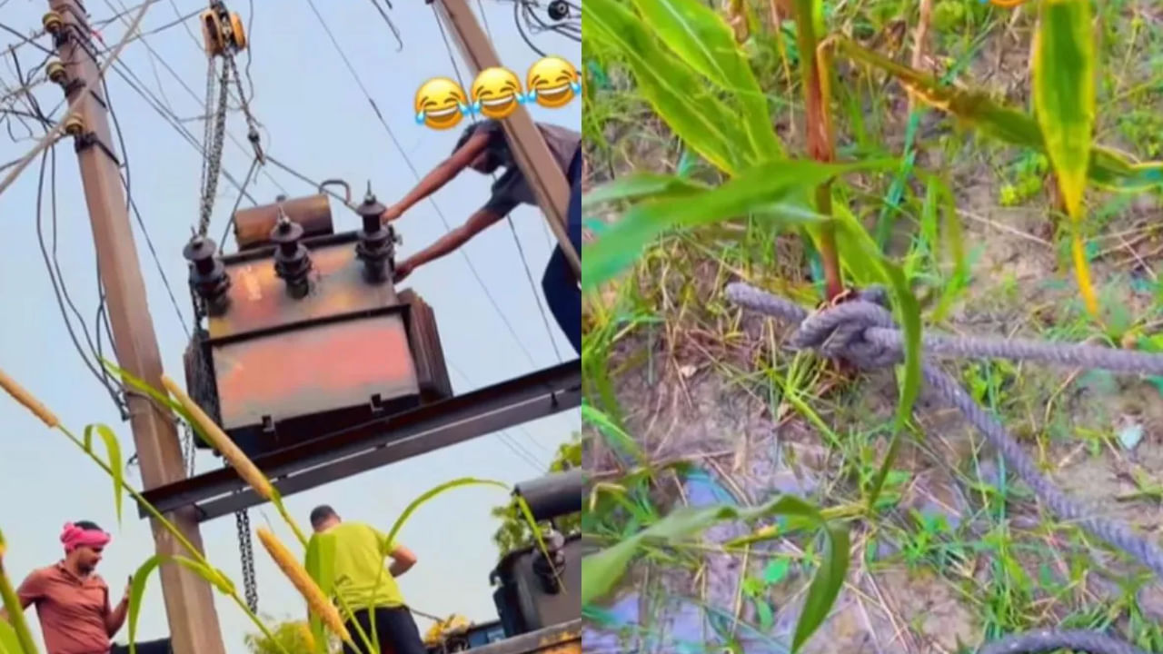 Watch: నువ్వు దేవుడు సామీ.. భారీ ట్రాన్స్ ఫార్మర్‌ను గడ్డిపోచతో కట్టేసిన ఘనుడు..! చూసి సెల్యూట్‌ చేయాల్సిందే..